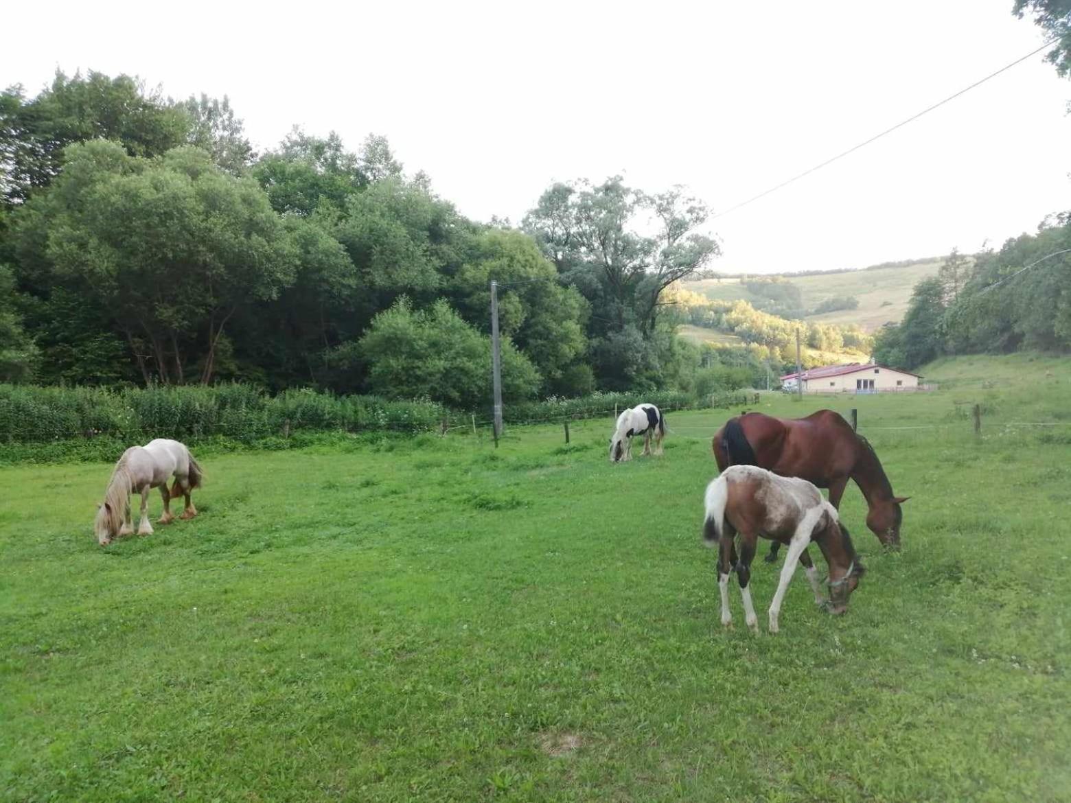 Oddychovy Pobyt Na Rodinnej Farme Matiaska Exterior foto