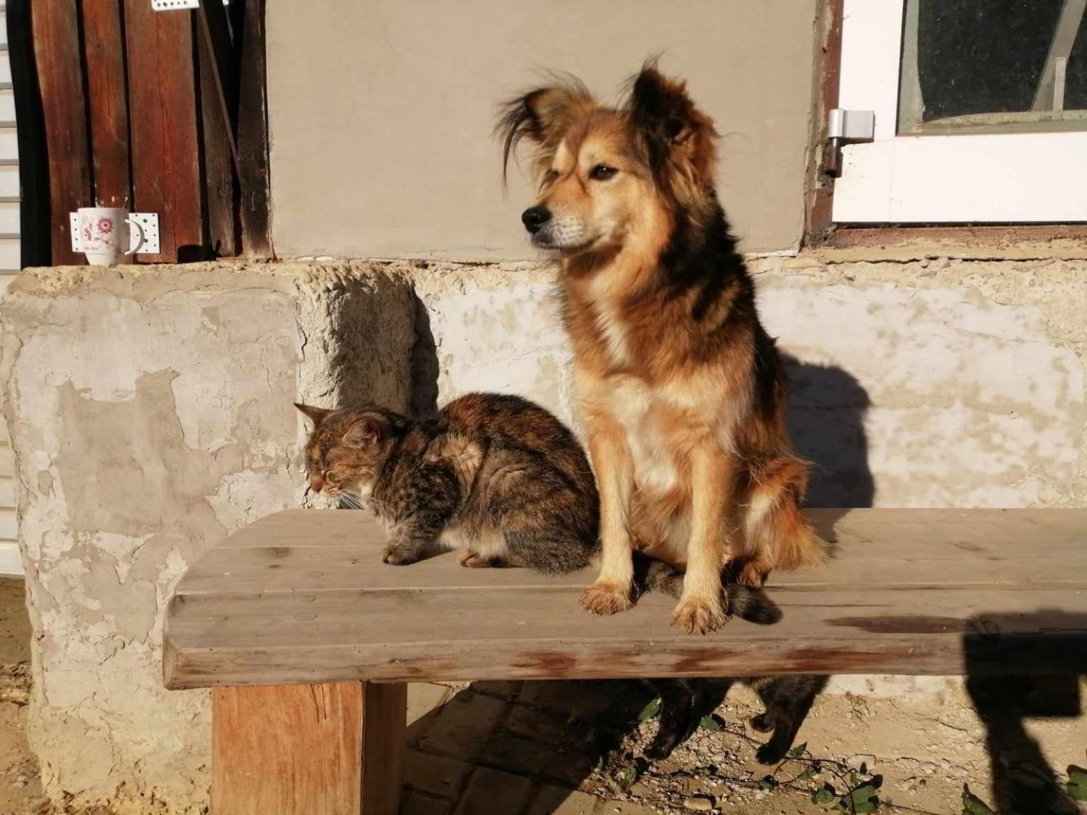 Oddychovy Pobyt Na Rodinnej Farme Matiaska Exterior foto
